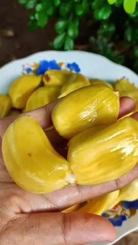 သူများတွေဒူးရင်းမှဒူးရင်းဖြစ်နေသော်လည်း မိမိမှာ ပိန္နဲသီးခရေဇီ ဖြစ်နေသောအခါ 🥹#fyp #jackfruit 