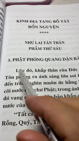 Kinh Địa Tạng Bồ Tát Bổn Nguyện,Như Lai Tán Thán Phẩm Thứ Sáu,Nam Mô Đại Nguyện Địa Tạng Vương Bồ Tát Ma Ha Tát.