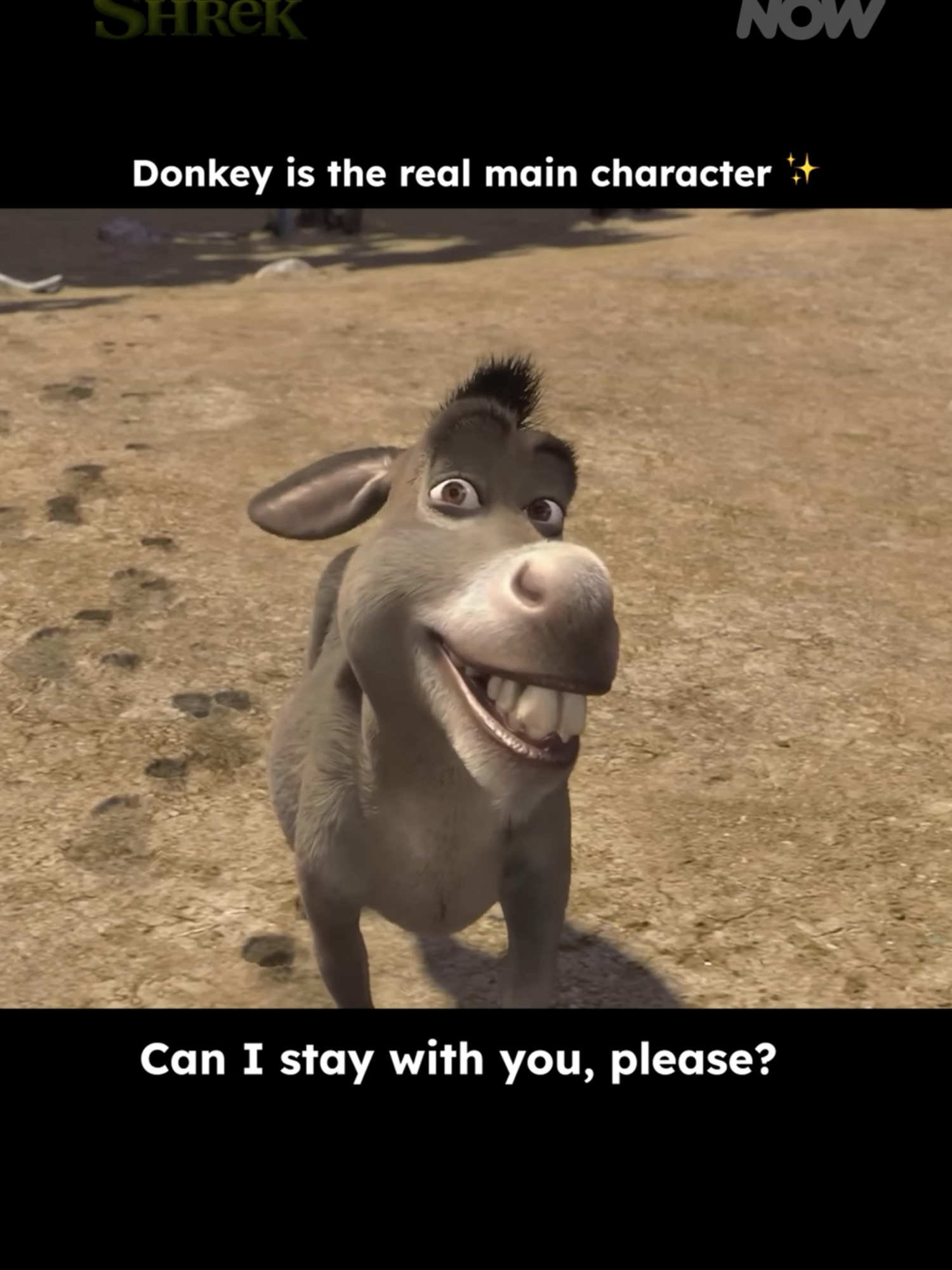 Donkey is a menace to society and we have no choice but to stan 🤣🫏 #shrek #shrek2 #shrekislove #shrekmeme #shrekedit #donkey #shrekdonkey