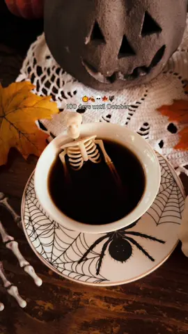 100 days until the best month of the year 🎃. . . . . . . . . . . . . . . . . #halloweenaesthetic #spookyseason #summerween #spookyvibes #cozymood #skeleton #fallaesthetic #cozyaesthetic #pumpkinseason #pumpkins #cozycore #countdowntohalloween #halloweeneveryday 