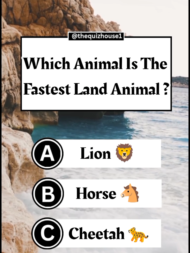 Animal Quiz video  . . #Tatcha #foryoupage #thequizhouse1 #usa🇺🇸 #viralvideo #TikTokShop #quiztime #quiztime #tiktokshop #thequizhouse 