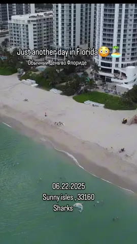 Oh yum yum 🤣🤣🤣 #miami #sharks #miamibeach #sunnyisles 
