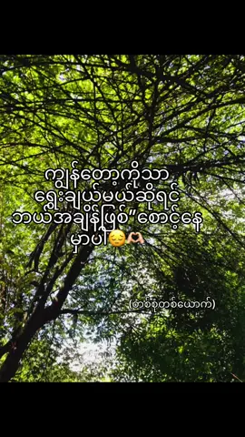စောင့်နေမှာပါ#fypシ #tiktok 
