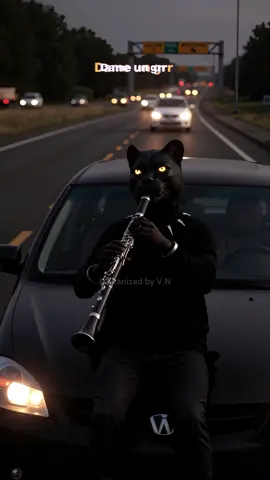 #panterata #balkanizatora #grrkuchek #grrbalkan #balkantiktok 🐆🎶🎹