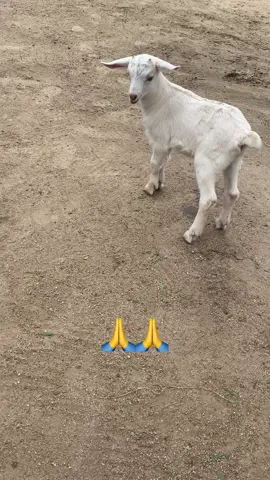 #paratiiiiiiiii 