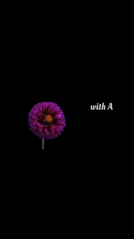 #fyp #myself #just #me #N #n #foryou #fypシ #tiktok #trending #trend #flowers 