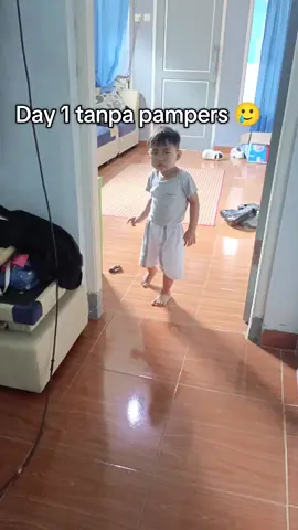 sebenarnya dari umur 18bulan anak ku udah pinter klo mau bab slalu bilang mah ee tpi dngan posisi belum lepas pampers jdi pipis masih suka d pampers, bab doang yg slalu ke wc.  nah ini skrng itu posisinya lagi pulang kampung, smenjak pulang kampung anak aku nontn TV trus klo bab gk pernah ngomong mlah diem aja,alhasil berujung bab d pampers trus. nah udh 1bulan ini aku cba toilet training lepas pampers begini lah hasilnya🥲 #toddler #toilettrainganak #lepaspampers #anaklakilaki 