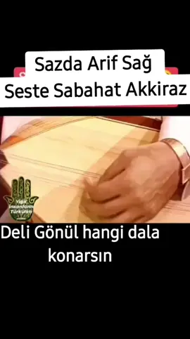 #arif #sağ #sabahat #akkiraz deli gönül hangi dala konarsın 
