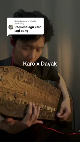 Membalas @Jhody Sembiring mama muda x sape dayak #sapedayak #kalakkaro #lagukaro #fypシ 