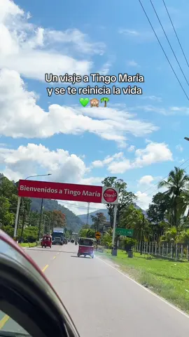 🙈🌴🍃 #tingomaria_perú💚 #selva #huanuco_perú❤️ #viaje #fyp 