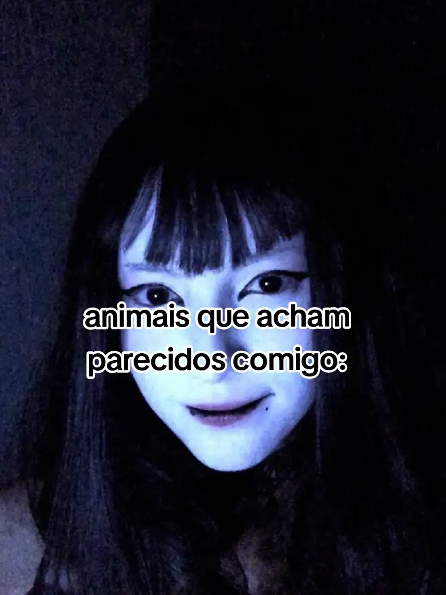 acho fofo #animais #aesthetic #foryoupage #fyp 