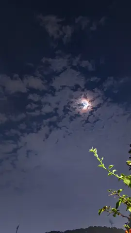 🥺🥺 #masukberanda #fypシ゚ #affliatetiktok #reels #trend #fyppppppppppppppppppppppp #reelsviralシ 
