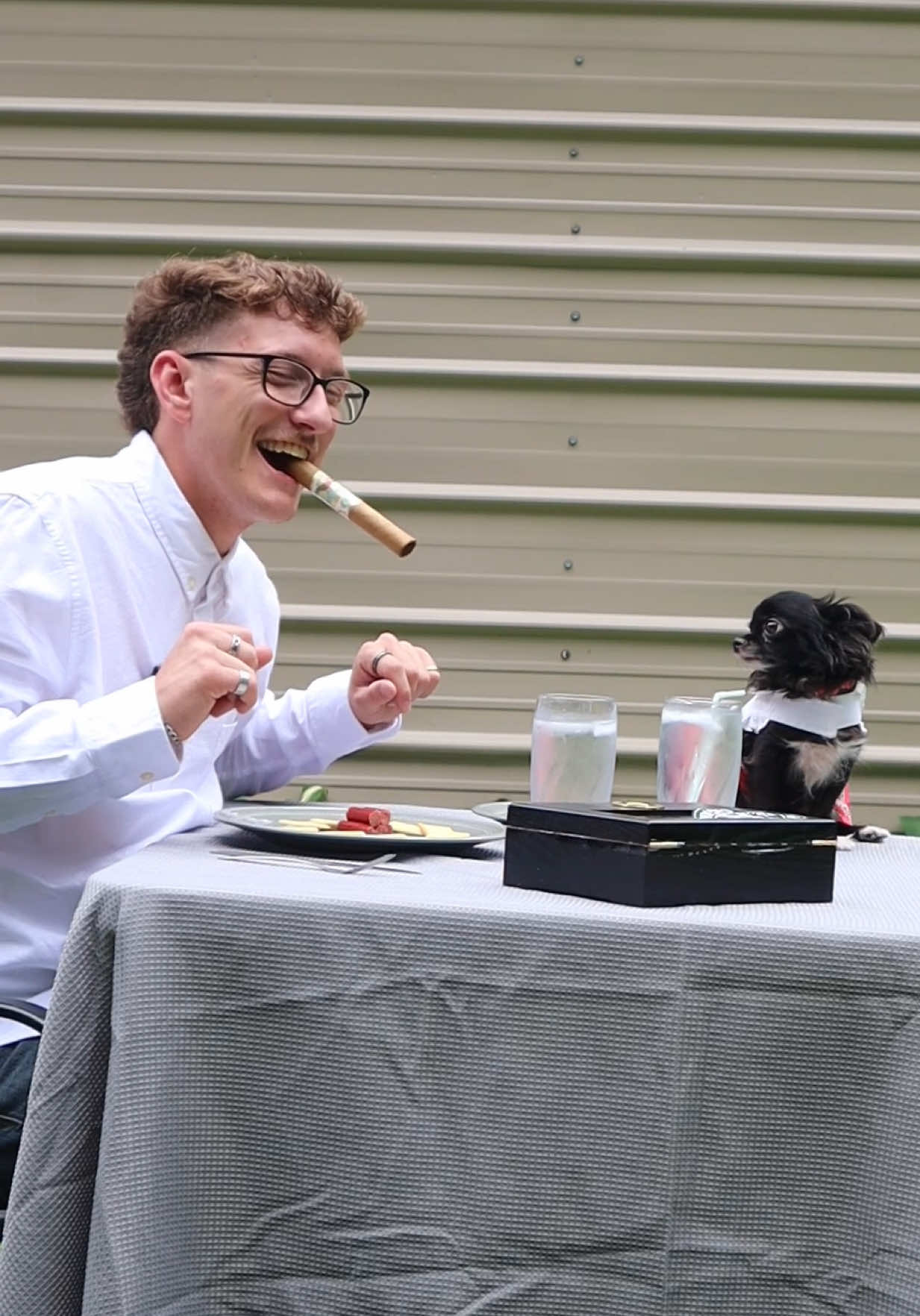Fancy Puddin 😭❤️ #dogs #pets #neptunecigars @neptunecigars 
