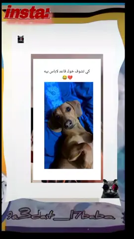 #9a3dat_l7baba #9a3dat_l7ba 