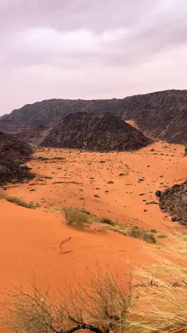 #fyp #explore #حايل #النفود #الخطه_حائل 