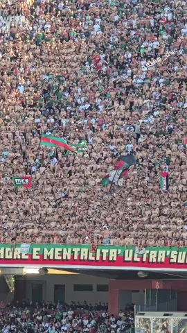 #mouloudia_virage_sud🇮🇹 #mouloudia_virage_sud🇮🇹🙏 #mouloudia_1921❤💚 #algria🇩🇿maroc🇲🇦tounis🇹🇳 #