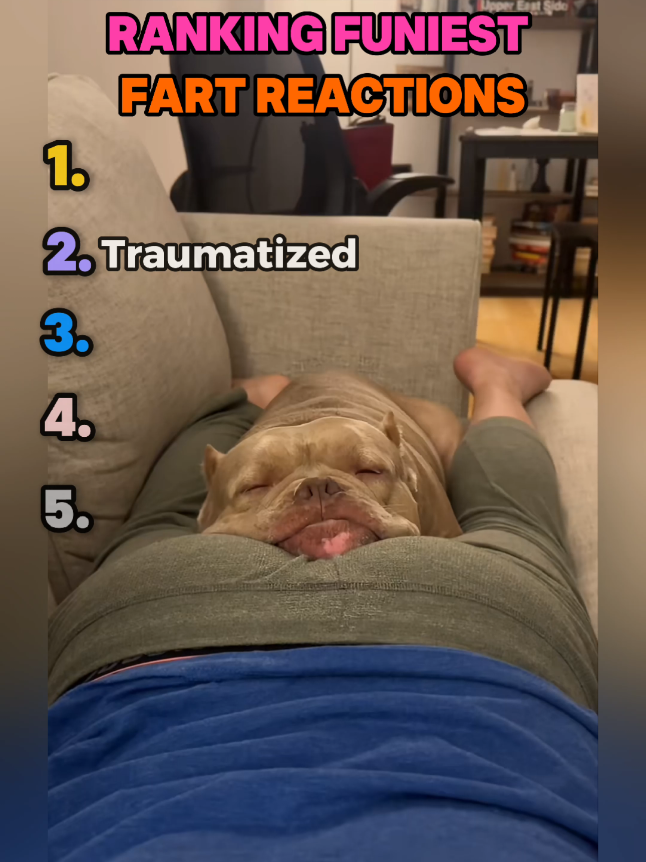 Ranking funniest fart reactions #top5 #funnypets #funnymo #funnyvideo #prank #funnymoments😂 #failarmy #funnytiktokvideos #funnytiktok #pets #fyp 
