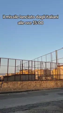 fanno sul serio