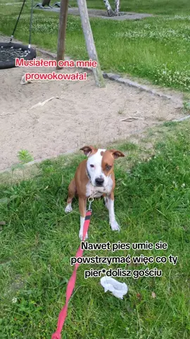 taka prawda a to że 