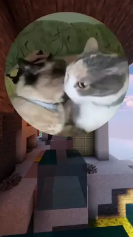 @Lil Baby  #funnyvideos😂 #funnytiktok 