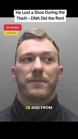 He Lost a Shoe During the Theft – DNA Did the Rest #mrhamlets 