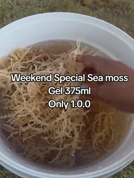 #seamosssupplier #seamossbenefits #seamossgel #seamoss🔌 #fyp 