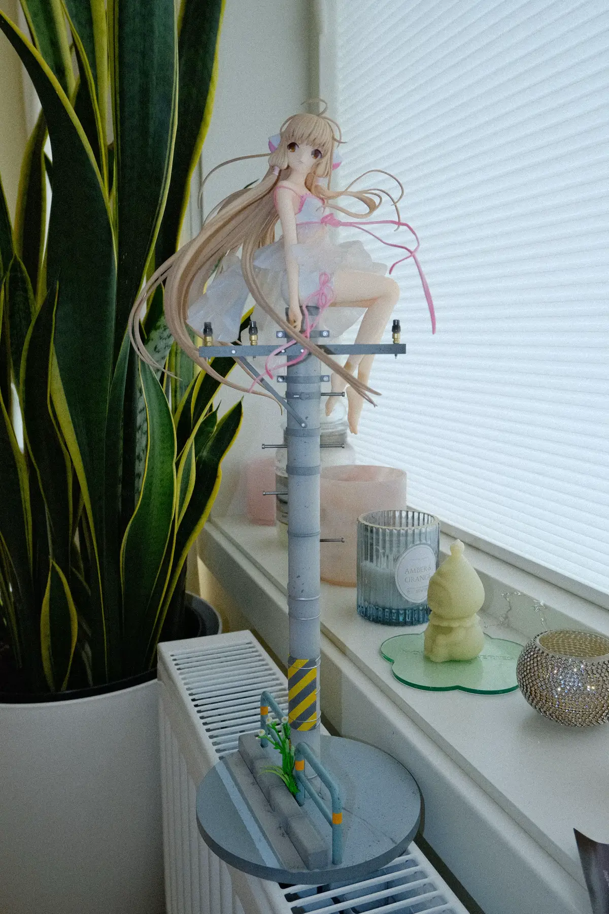 Girlie so tall I gotta reorganise the glass cabinet 😂🌸 #chobits #figurines #amiami 
