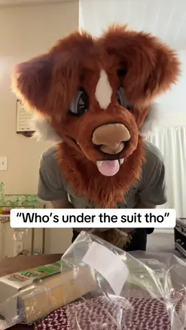 Peep the slippers though #fyp #furryfandom #furry 