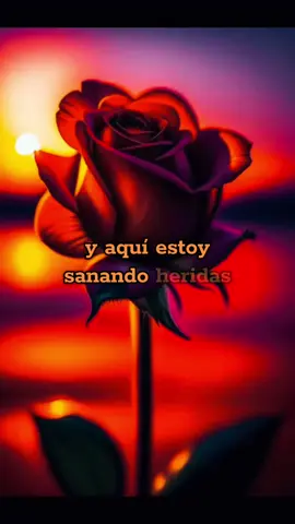 CURANDO HERIDAS - Marcos Antonio Solís #paratiiiiiiiiiiiiiiiiiiiiiiiiiiiiiii #fyp #videoviral #eeuu #miamibeach #curandoheridas #marcosantoniosolis #lonuevo #nuevo #canciones #musica 