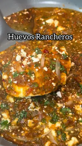 Huevos Rancheros #huevos #huevosrancheros #huevosahogados #huevosensalsa  #breakfastideas #desayuno #desayunos #salsaroja #salsapicante #recetasmexicanas #recetacasera #mexicantiktok #mexicanfood #recetasfaciles ##Receta #EasyRecipe #Foodie #rancheros #huevosfritos #fyp #foryoupage #parati #viral 