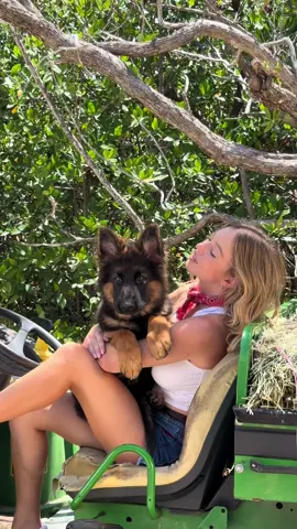 sully is main character energy 🐶👟#heydudecountry #sydneysweeney #heydudeshoes 