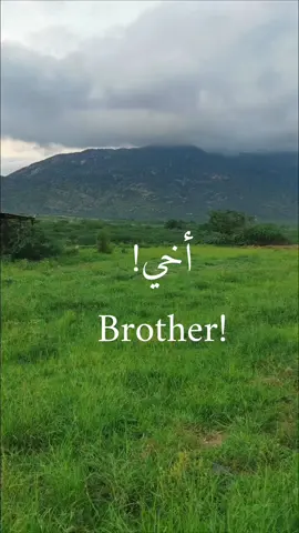 أخي 🤍🌿#اكسبلور_تيك_توك #تصويري #تحفيز_الذات #اكسبلور #تحفيز 