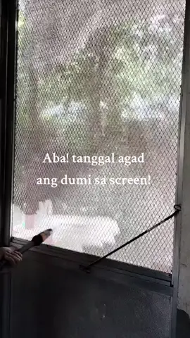 itong mga anak ko nag uunahan pa sa pag linis ng mga screen sa bintana at pintuan🤣 nilalaro ang pressure washer pero okay lang kasi nalinis naman talaga. #pressurewashing #housecleaning #pressurewasher 