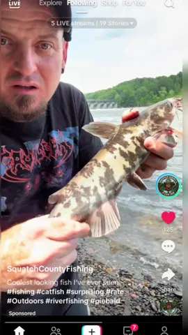 This Pibald Chanbel cat is so Beautiful!!  Congrats to the fisherman who caught it