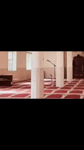 (لا تمشي في الارض مرحا.... لا يدخل الجنه من كان في قلبه مثال ذرة من كبر )  #للشيخ_طارق_الزبيدي #عامرالسعيدي #اجمل_تلاوة_قران_كريم #تلاوة_خاشعة #islamic_video #quran_alkarim_ #ياسرالدوسري #اسلام_صبحي #ماهرالمعيقلي #الشيخ_فارس_عباد #ناصر_القطامي #خالد_الجليل #قران_كريم_ارح_سمعك_وقلبك #القرآن 