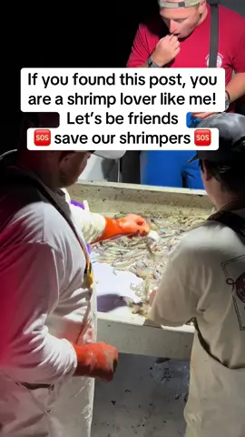 Support American seafood sign petition click link in bio #SHRIMPGATE #notohb442 #eatamericanseafood #commercialfishing #saveourshrimpers #eatlocalshrimp #supportncshrinpers 