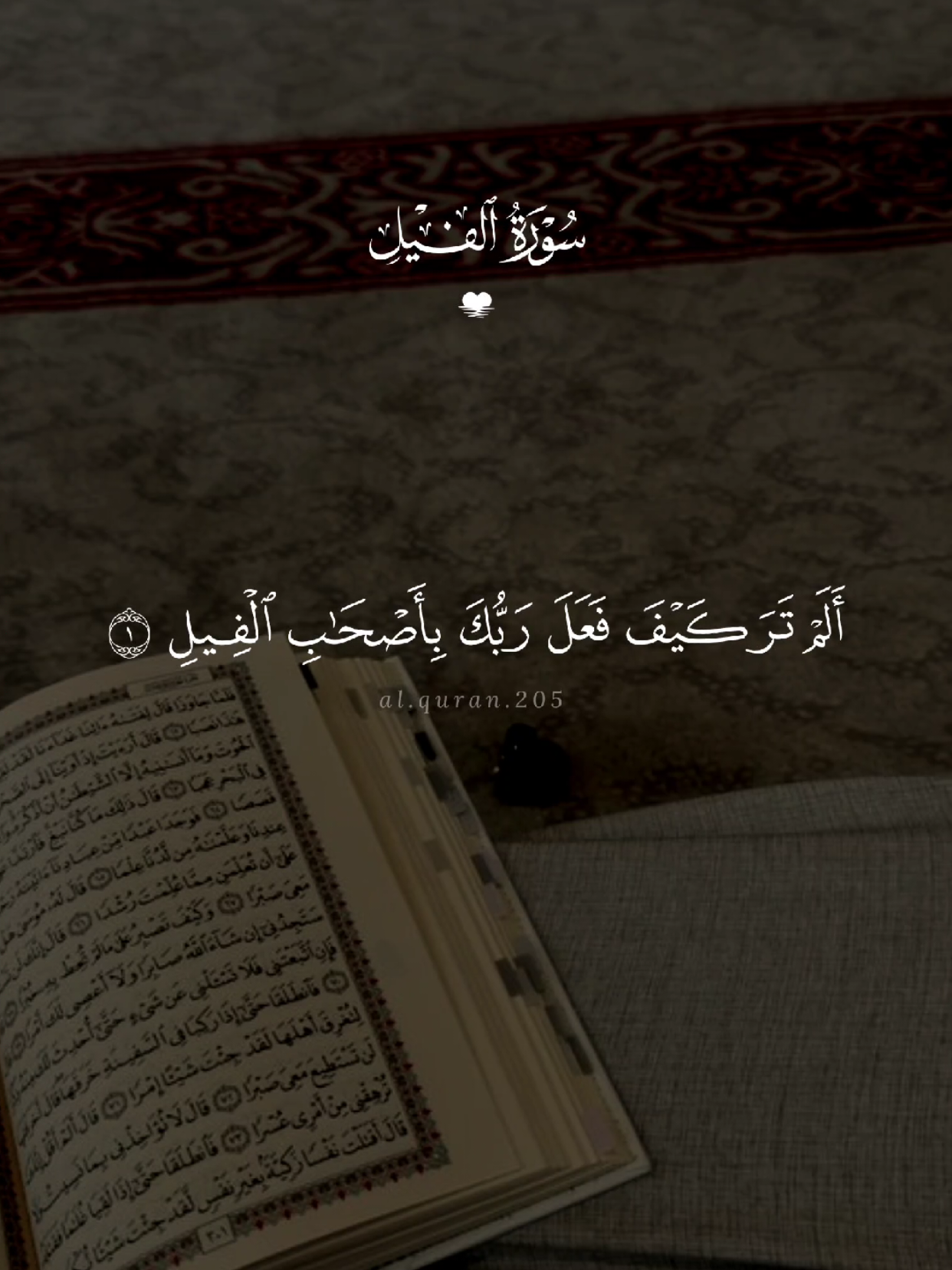 سورة الفيل 🤍 #quran #القرآن #quran_alkarim #القران_الكريم #qu_ran_n #تلاوة_خاشعة #qu_ran_n؛؛قرآن #chahr_205 #اجر_لي_ولكم #islamic_video #صدقه_جاريه #quran_114st 