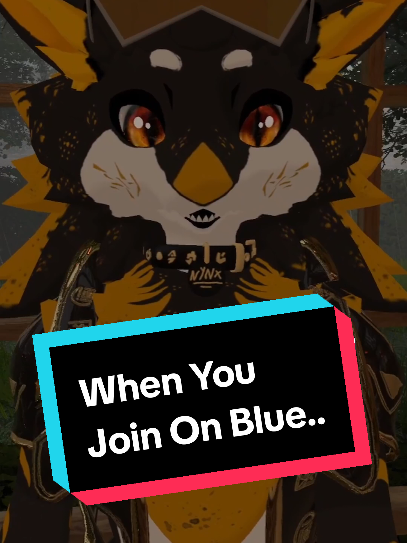 When You Join On Blue.. #furryvrchat #vrchat #viral #viralvideo #furry #furryfandom #furrytiktok #furryedit #furrymeme #furryyoutuber #vrchatfurry #vrfullbodytracking #furryfullbodytracking #fullbodytracking #vrcmeme #facetracking #vrfacetracking #vrcfacetracking 