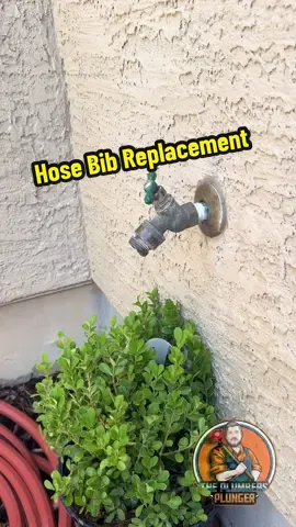 Installing a new hose bib. #plumbing #water #fyp