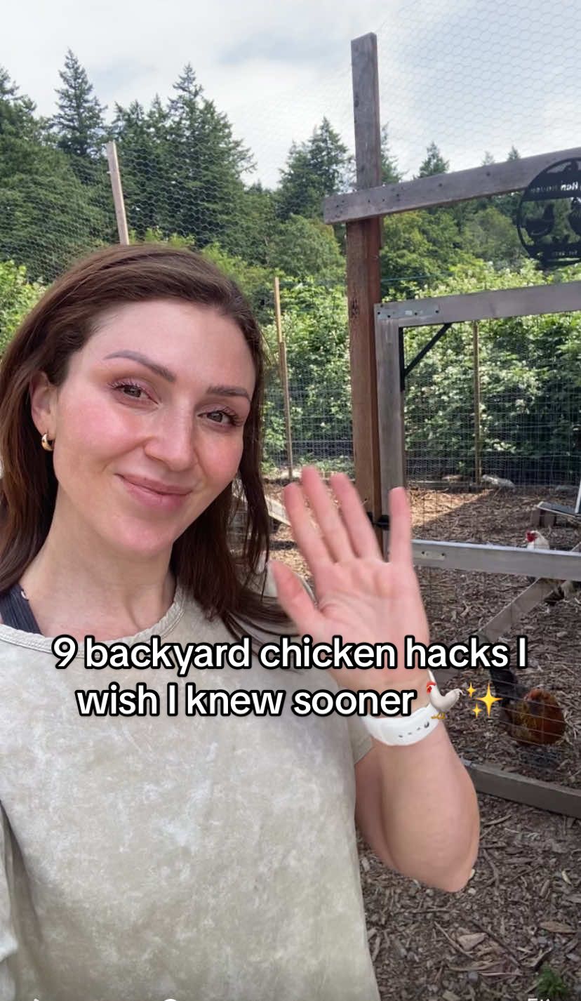 some backyard chicken keeping  tips that have actually worked for us in our homestead journey 🌾🐓 - #backyardchickens #chickenkeeping #chickencoop #homesteadlife #beginnerhomesteader #chickensofTikTok #diychickencoop #chickentips #farmtok #slowliving#CapCut 
