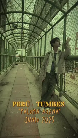 Paloma ajena…  #CapCut #cinematic #tumbes #mexico #cortometraje #paysito #peru🇵🇪 