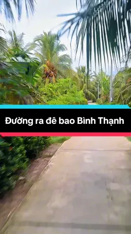 Đường ra đê bao Bình Thạnh. #fyp   #xuhuong   #phongcanh   #langque   #travelvietnam   #vietnambiendep   #dulichvietnam   #cuocsonglangque   #countryside   #naturelover   #tropicalvibes   #quedep   #reviewvietnam   #vietnamcheckin   #motchutbinhyen   #thienthanhnho   #reelsvietnam  