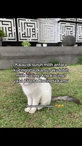 🙃