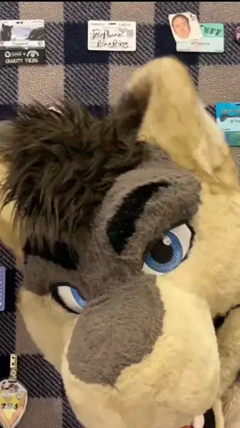 tail
