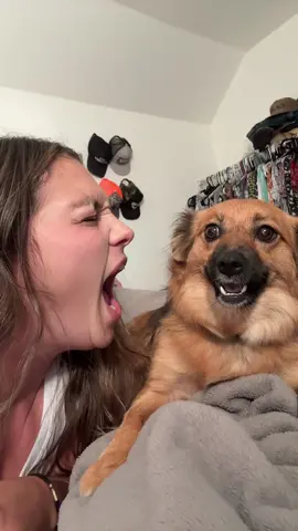 You have to wait till the end 🤣 #dogsoftiktok #dogtrend #inthemiddleofthenight #fyp 