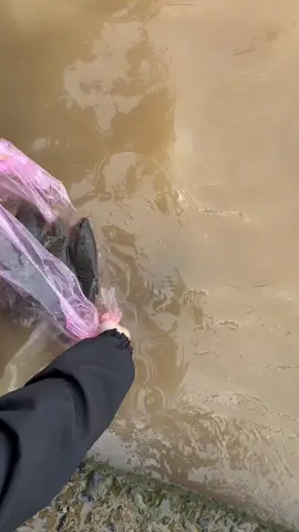 Hoa nở là duyên, hoa tàn là nghiệt. Người đến là phúc, người đi là phận. Duyên sâu thì hợp, duyên mỏng thì tan. Vạn pháp do duyên, vạn sự tuỳ duyên. Không cưỡng không cầu, không mong không khổ 🤍 #phongsanh #nammoadidaphat #thaca #rằm 