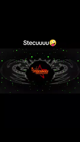 Stecuu