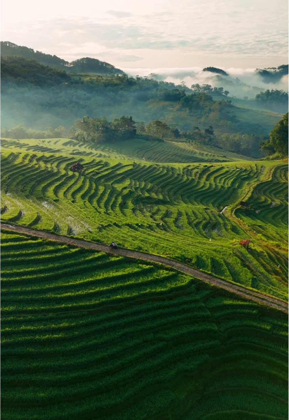 Kadang bahagia sesederhana ini duduk, diam, dan menikmati pagi. 🫰 #somagedebnyumas #explorekebumen 