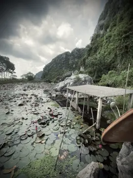 “有时候，只有流泪才能明白自己错得有多么离谱。” “Đôi khi phải đánh đổi bằng nước mắt, con mới hiểu được mình sai đến mức nào.”