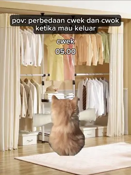 Reall? 😅 #lucu #fyp #memekucing 